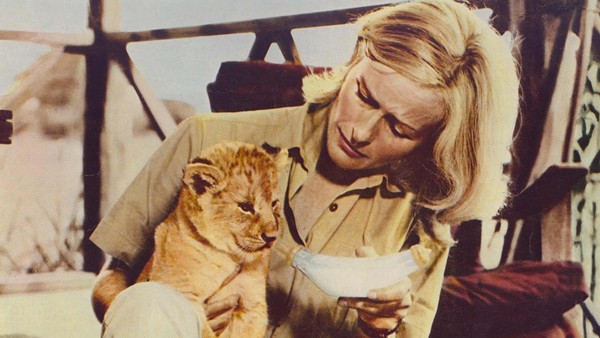 Curious Companions: 10 of the Best Exotic Pets on the Big Screen