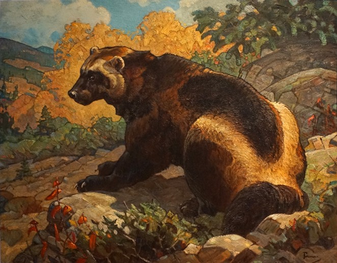 Briscoe Western Art Museum Launches New Exhibition with a Series of Animal-Themed Events (2)