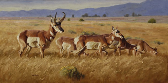Briscoe Western Art Museum Launches New Exhibition with a Series of Animal-Themed Events