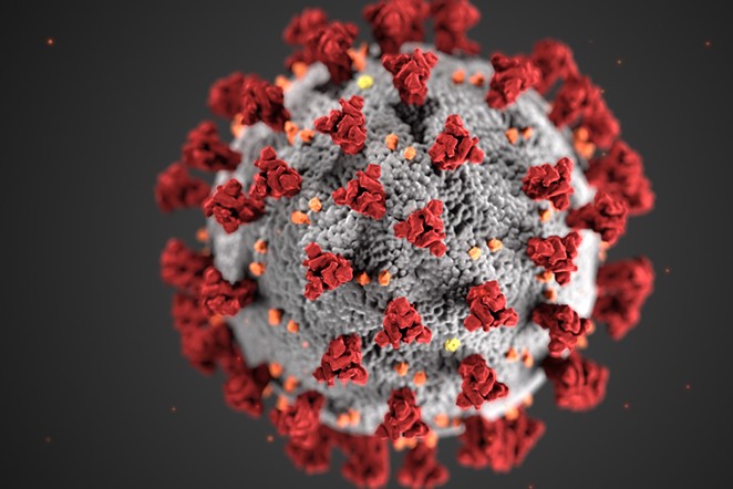 The COVID-19 virus is shown under a microscope in this image supplied by the federal government. - CENTERS FOR DISEASE CONTROL