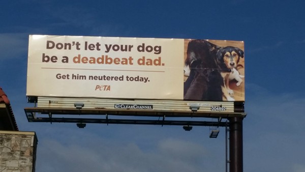 PETA placed this billboard on Loop 410 near Starcrest. - People for the Ethical Treatment of Animals (PETA)
