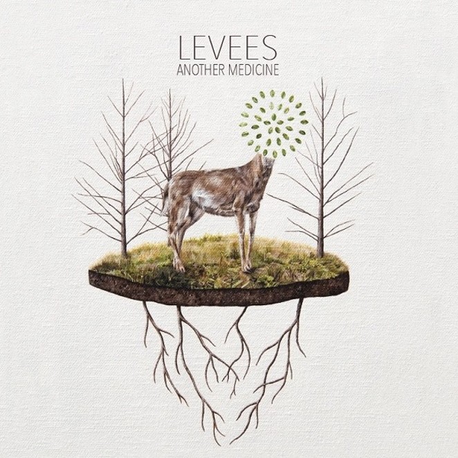 COVER ART FOR LEVEES' "ANOTHER MEDICINE"