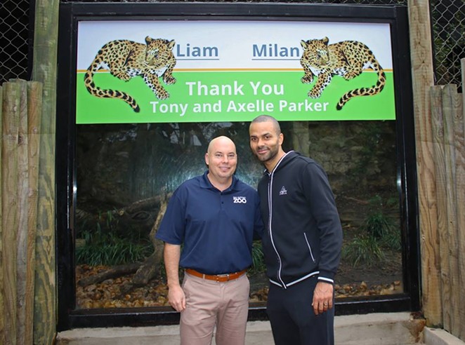 Tony Parker Named the San Antonio Zoo's Newest Jaguar Cubs