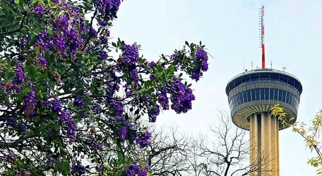 The Tower of the Americas will host its third annual Wine Fest next month. - Instagram / toweroftheamericas