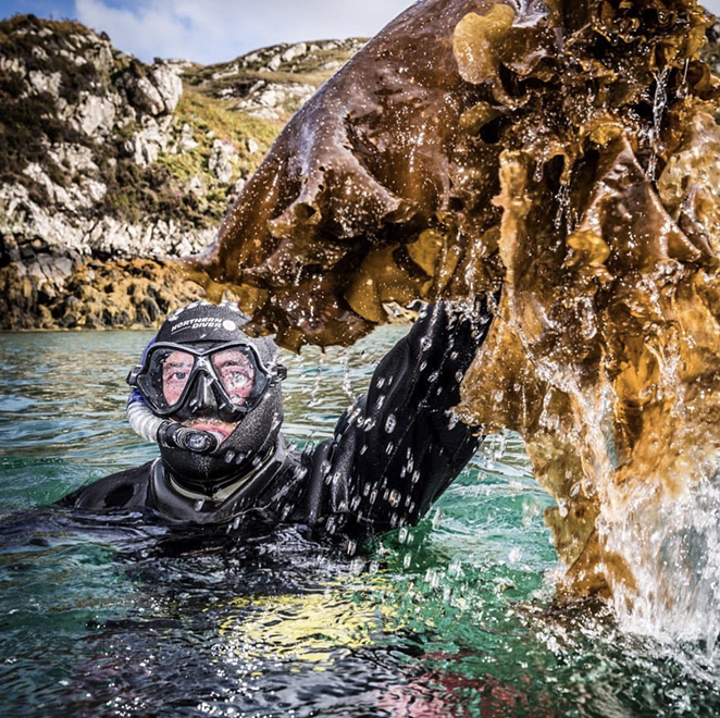 Isle of Harris' sugar kelp is sustainably harvested by Lewis Mackenzie, a local Scottish diver. - INSTAGRAM / ISLEOFHARRISDISTILLERS