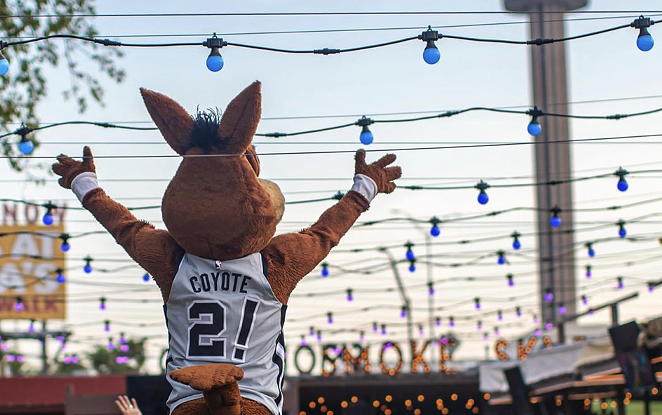 New survey ranks San Antonio Spurs Coyote among the worst mascots in the NBA. - INSTAGRAM / SPURSCOYOTE