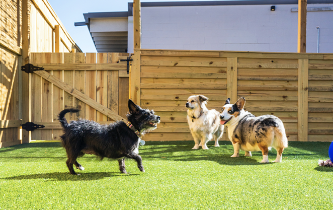 Good Dog will offer two outdoor play spaces near San Antonio's Pearl complex. - COURTESY PHOTO / PEARL