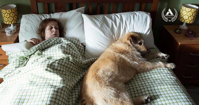 Irish film Róise and Frank tells the story of a widow who bonds with a dog she believes is the reincarnation of her late husband. - Courtesy of Animalis Fabula