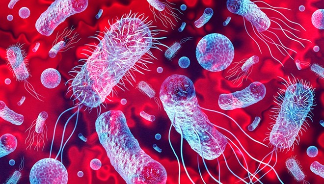 Signs and symptoms of Listeria infection vary depending on the person infected. - Shutterstock