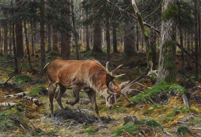 Richard Friese (Germany, 1854 – 1918), Deer in a Forest Glade, 1912. Oil on canvas. 43 x 621/2 inches. JKM Collection®, National Museum of Wildlife Art. - Courtesy Image / Briscoe Museum