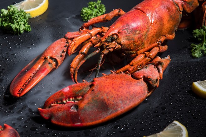 Lobster week will take place at San Antonio restaurants Tre Trattoria, Jardin and Range between July 25 and Aug. 4. - Shutterstock / HK.Studio