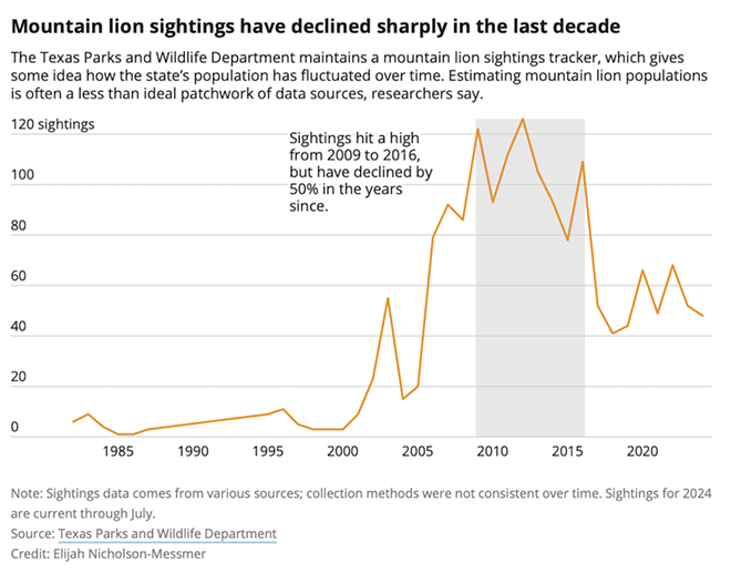 Texas takes its first steps to protect its mountain lions