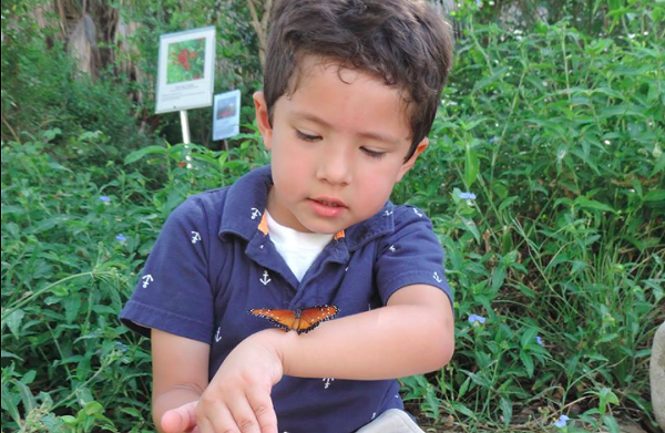 Boy meets a butterfly at Santa Ana National Wildlife Refuge. - U.S. FISH AND WILDLIFE SERVICE / CRISTINA DE LA GARZA