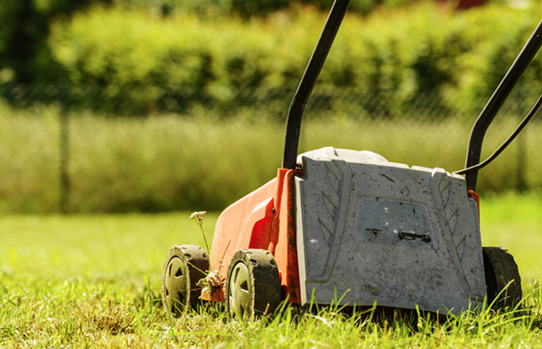 San Antonians Can Now Tend to Their Yard with a Lawn Mowing App