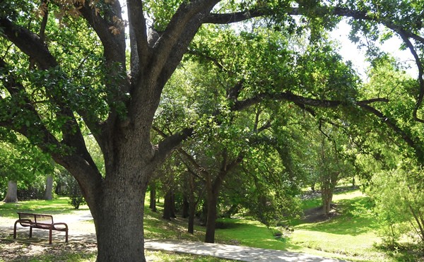 Brackenridge Park (pictured above) is just one of several parks located in San Antonio. The problem is that most parks are located within loop 410, leaving other parts of the Alamo City in the dust.