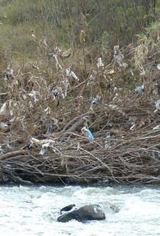 The effect of plastic bag pollution on a river.