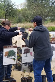 San Antonio River Foundation Hosting Tree Giveaway This Month (2)