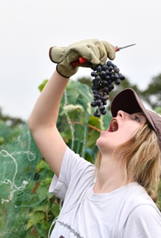 Where Wine Lovers Can Stomp (Or Punch) Grapes in Texas This Month