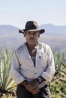 Don Aquilino devoted his entire life to bringing the flavors of the Agave plant into mezcal.