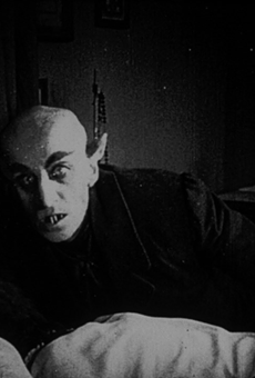 Reels at the Ruin returns with iconic vampire film Nosferatu, enhanced with live music