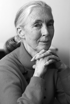 Dr. Jane Goodall will speak at Trinity University on Thursday.