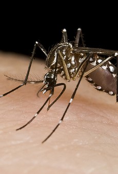A person from Puerto Rico died after contracting the Zika virus.