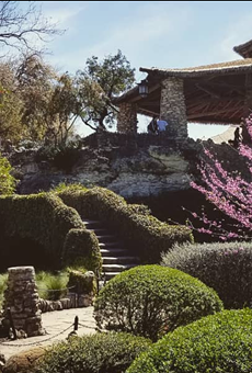 The Japanese Tea Garden is one of San Antonio's many hidden gems.