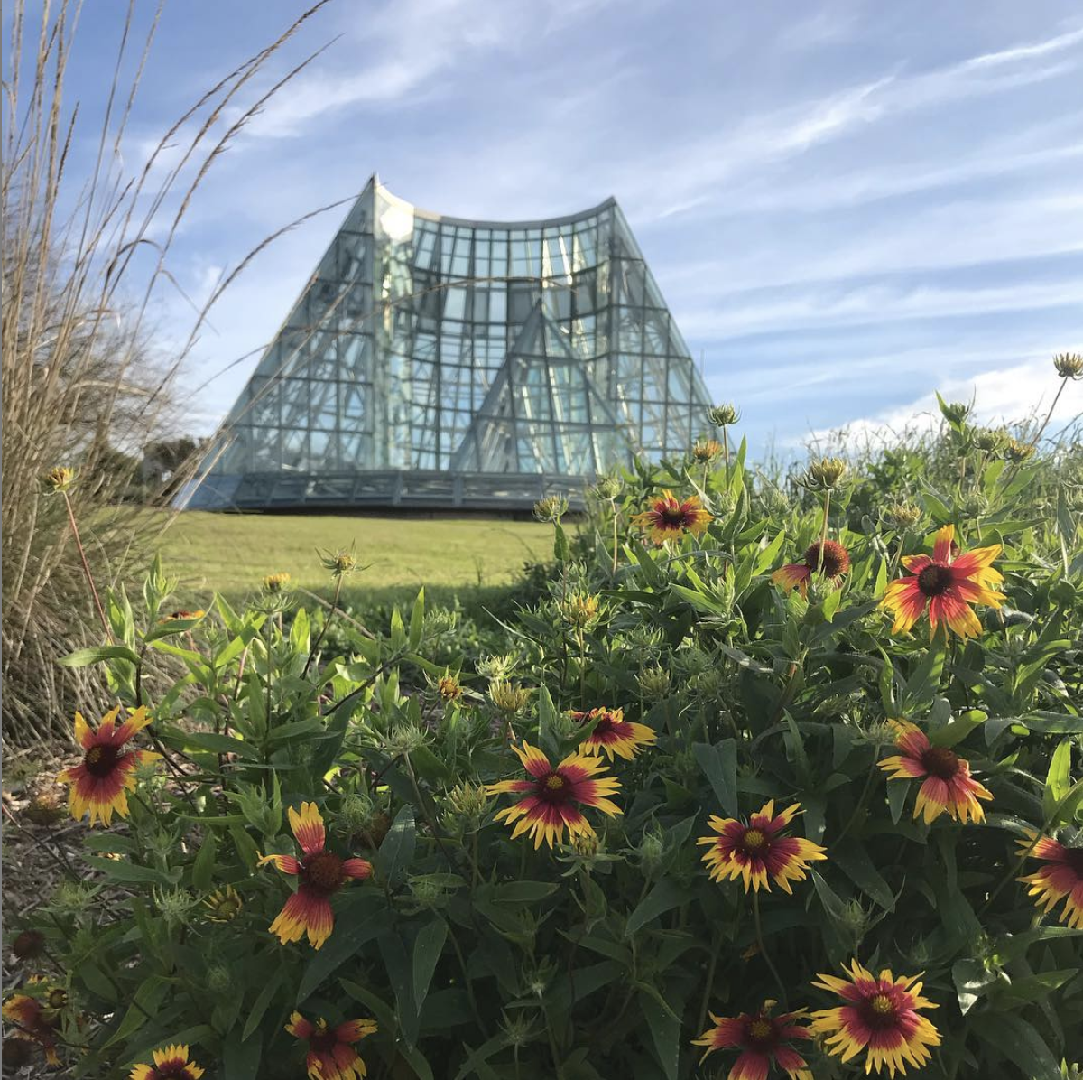 San Antonio Botanical Garden Reduces Admission Price For SNAP And WIC   Screen Shot 2019 06 24 At 11.09.41 Am 