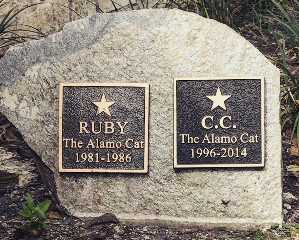 Alamo Cat Graves – San Antonio, Texas - Atlas Obscura