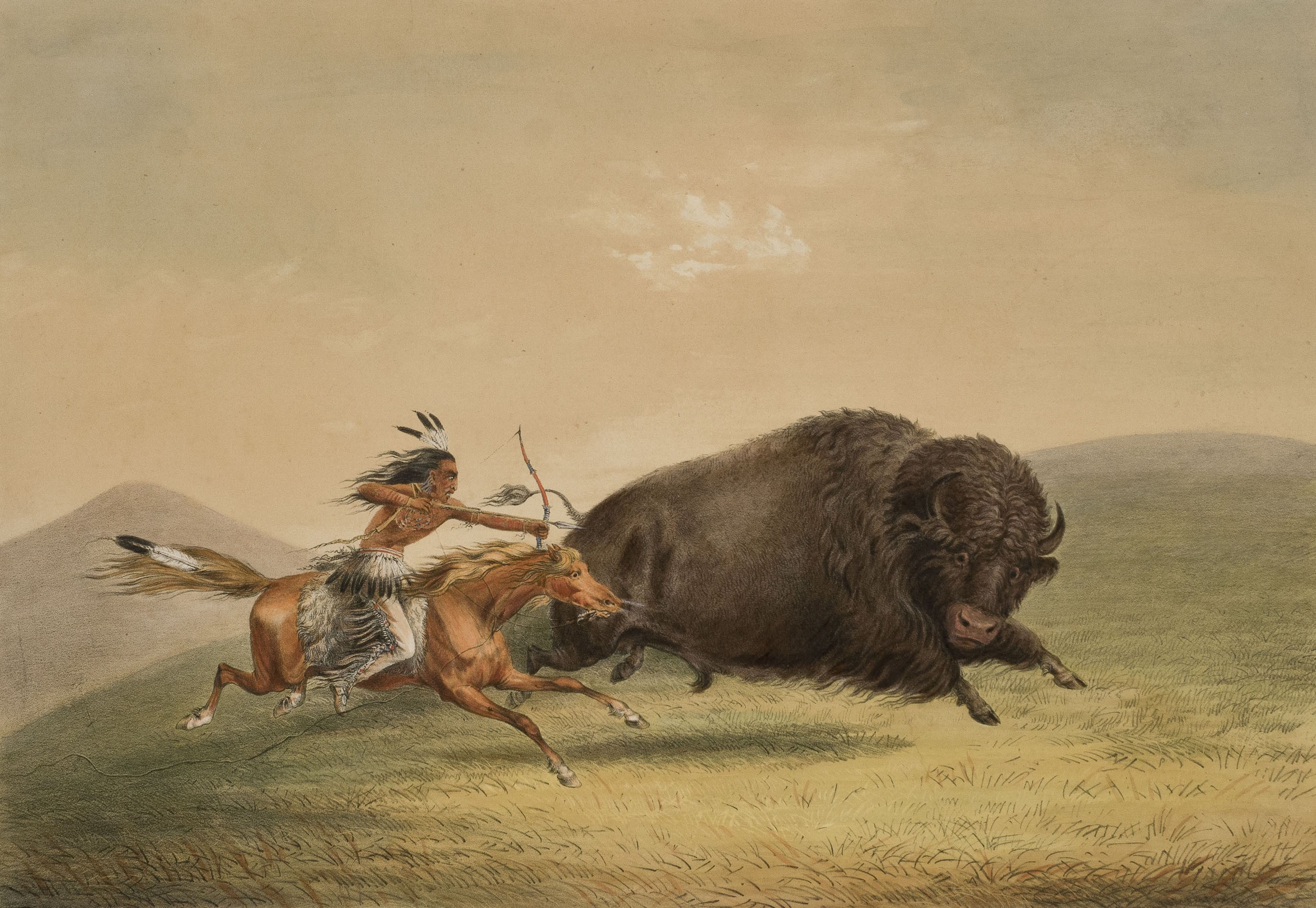 Индейцы охотились на бизонов. Индейцы Северной Америки охота на бизонов. Охота на бизонов в Америке. Охота на бизона индейцев. Охота индейцев на бизонов.