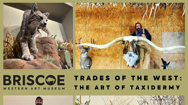 Trades of the West: The Art of Taxidermy