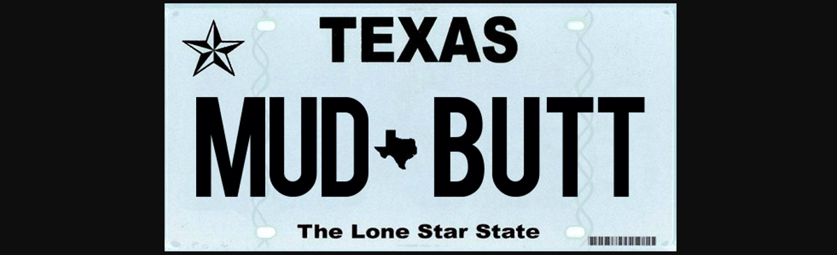 The Most Texas License Plate Ever is Coming Back, San Antonio News, San  Antonio