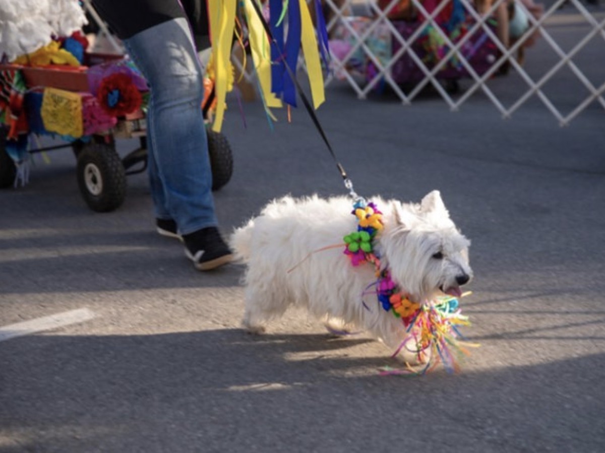 The biggest mistakes you can make at Fiesta San Antonio San Antonio