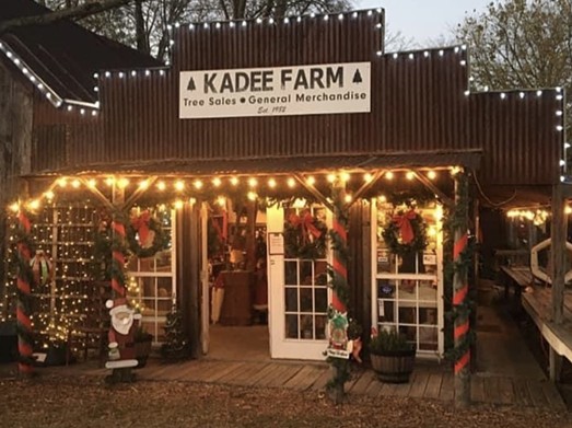 Kadee Farm
5054 US-69, Greenville, (903) 413-3811, kadeefarm.com
In addition to its annual selection of cut-your-own Christmas trees, this north Texas farm is continuing to offer a Walking Trail of Lights in 2022. The tree-cutting season runs from Nov. 25-Dec. 18 or sellout.
