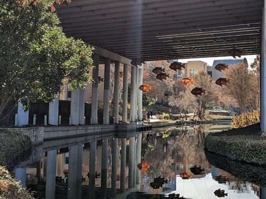 F.I.S.H
200 West Jones Ave.
Created by artist Donald Lipski, these models of long-eared sunfish hang under an overpass on the River Walk's Museum Reach near the San Antonio Museum of Art.
