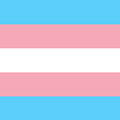 The Transgender Pride flag is a symbol of pride, diversity and transgender rights.