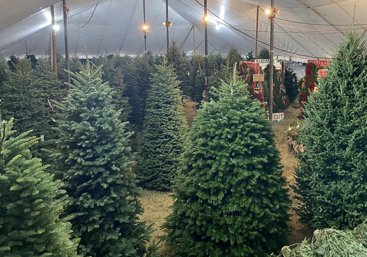 papa's christmas tree farm