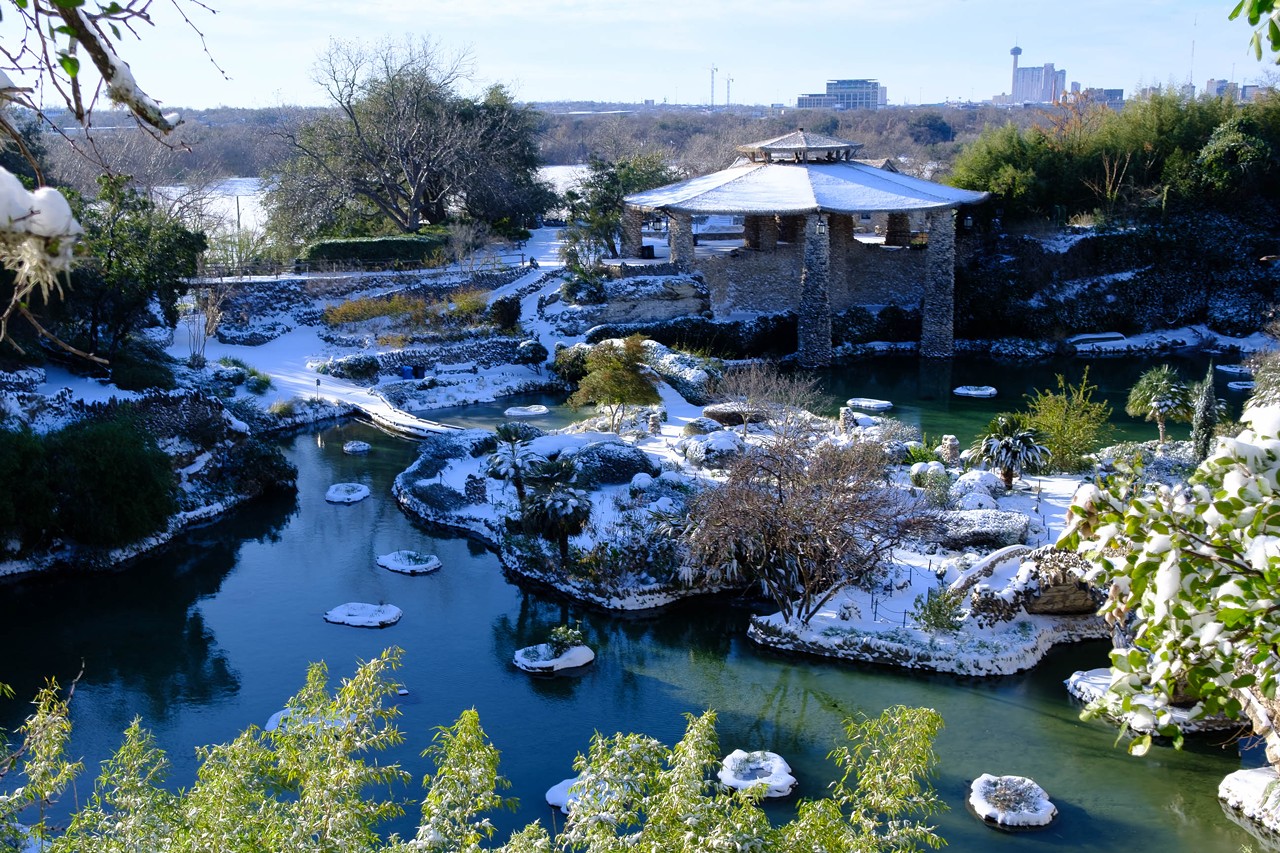 21 magical pictures of the snow day San Antonio got from its winter