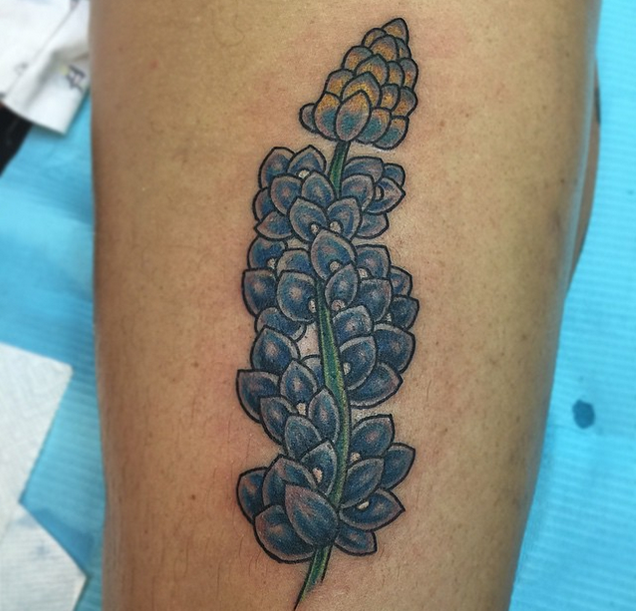 Depiction Tattoo Gallery  Tattoos  Flower  Mockingbird Bluebonnet Tattoo