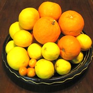 Urban Homesteader: more citrus