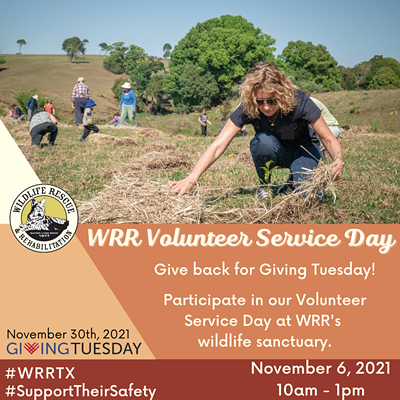 WRR Giving Tuesday Volunteer Service Day