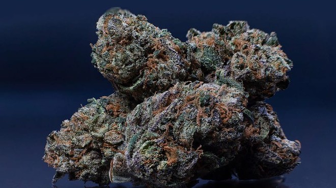 What is THCa flower? | Plus the #7 best THCa flower strains (exotic & potent)