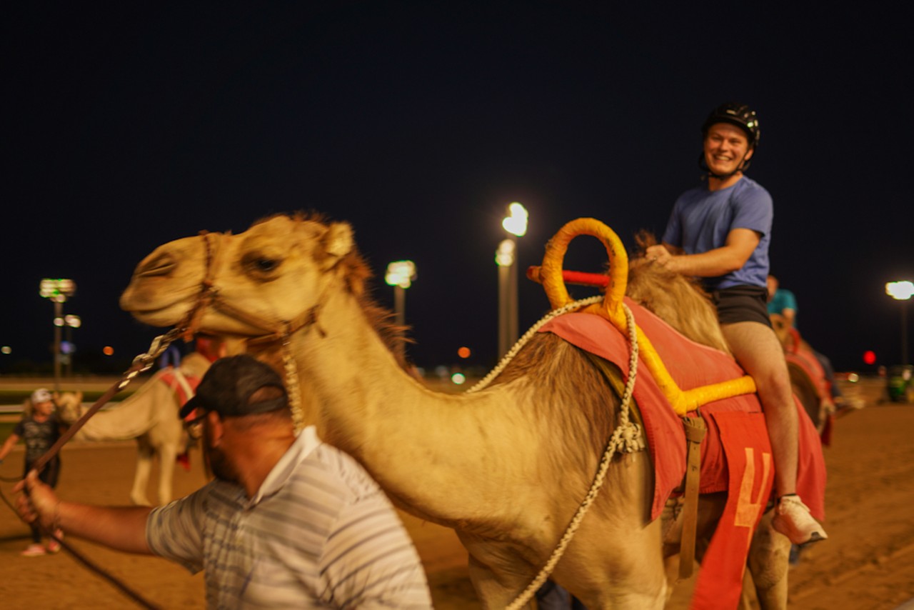 Wild moments from San Antonio's ostrich and camel races at Retama Park