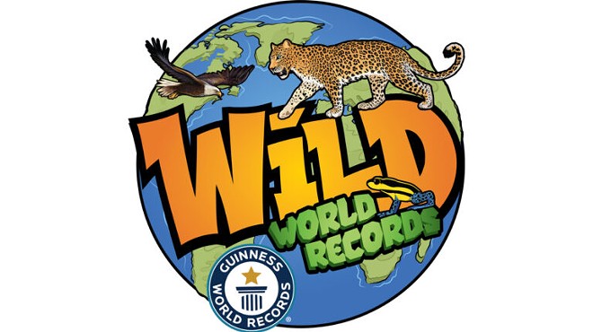 Wild World Records