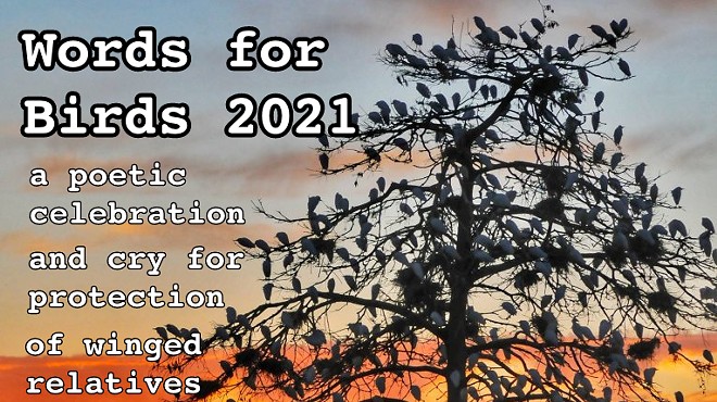 Words for Birds 2021